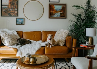 AtHomeWithAshley-Sven