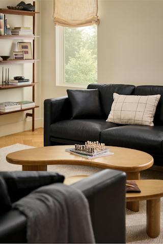 Shop Leather Sofas