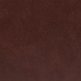 swatch-indiana-brown