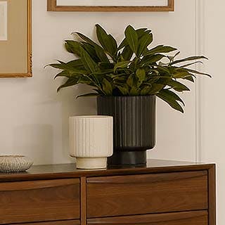 all-entryway-visual-nav-runner-asset