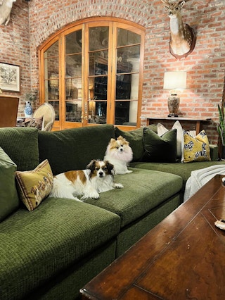 pdp-UGC-Beta-Cypress-Green-Left-Chaise-Sectional-UGC-4-asset-desktop