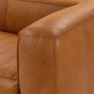 pdp-article-education-cigar-rawhide-tan-sofa-arm-assets