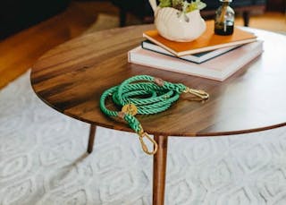Amoeba-Wild-Walnut-Coffee-Table-Dog-Leash