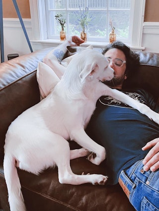 pdp-curated-ugc-cigar-rawhide-brown-reversible-sectional-ugc-1-asset