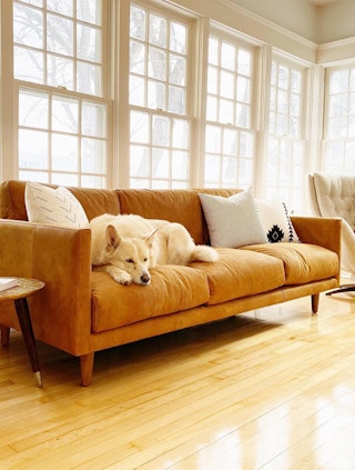 pdp-curated-ugc-nirvana-dakota-tan-sofa-ugc-#4-asset