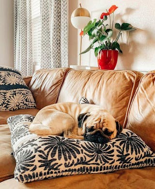 article-teeshirtbabe