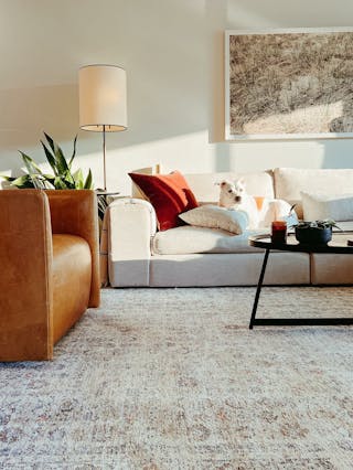 pdp-curated-ugc-beta-quartz-white-left-chaise-sectional-ugc-#1-asset