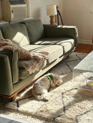 pdp-curated-ugc-timber-olio-green-sofa-ugc-#3-asset