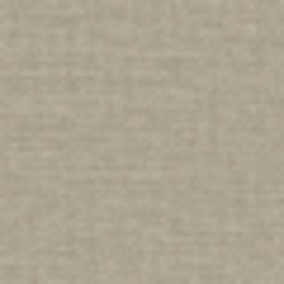 Swatch Silvertaupe